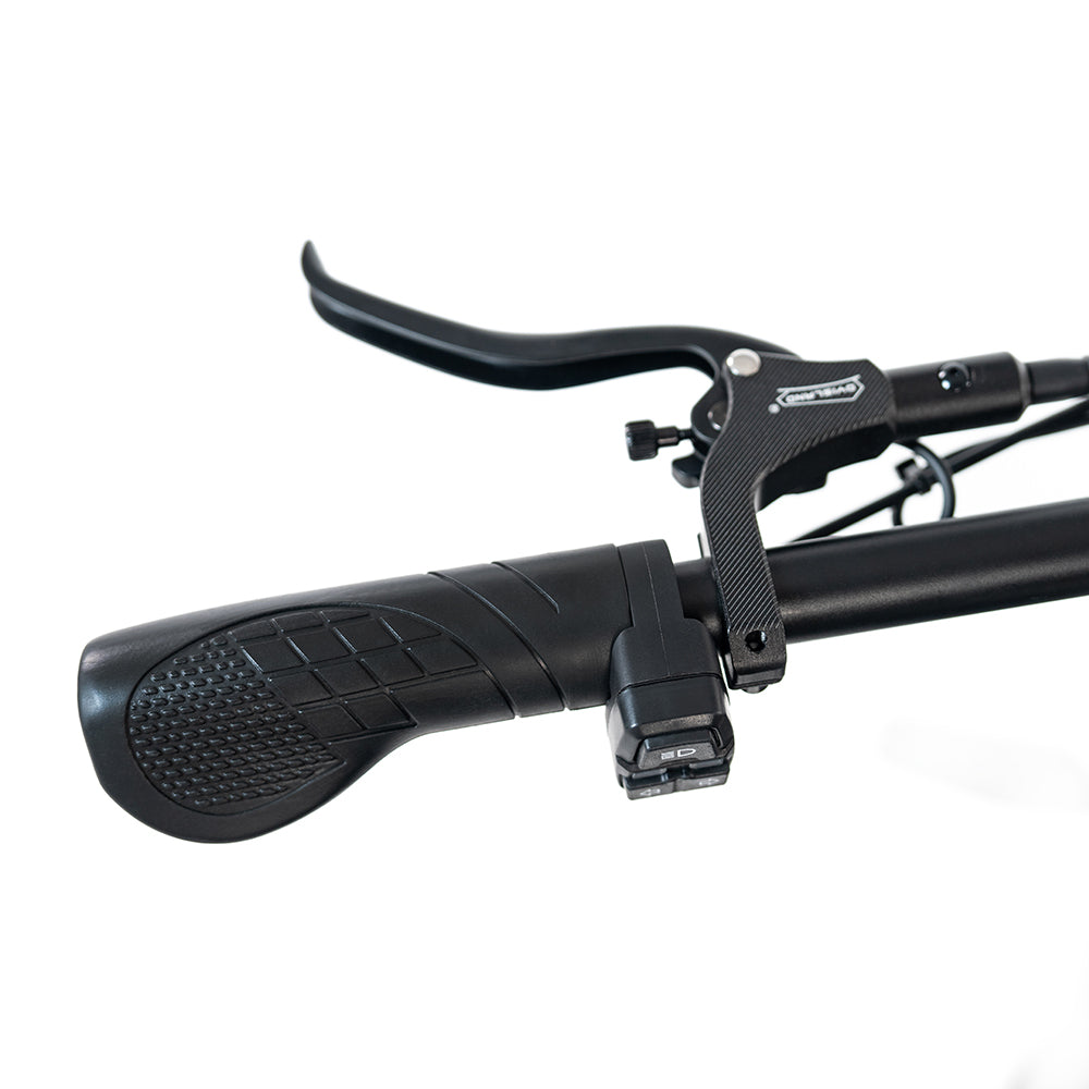 2025 NEW HappyRun G70 2000W Dual Battery Fast Electric Cargo Bike for Sale