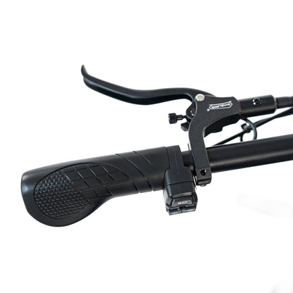 2025 NEW HappyRun G70 2000W Dual Battery Fast Electric Cargo Bike for Sale