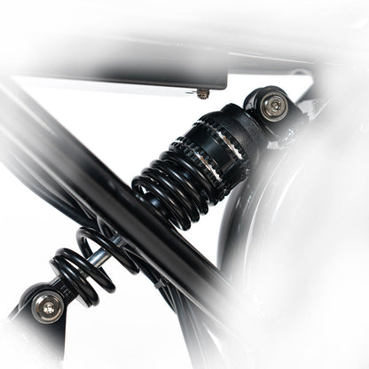 2025 NEW HappyRun G70 2000W Dual Battery Fast Electric Cargo Bike for Sale