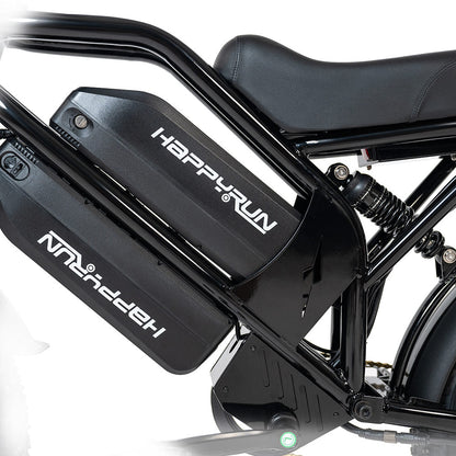 2025 NEW HappyRun G70 2000W Dual Battery Fast Electric Cargo Bike for Sale