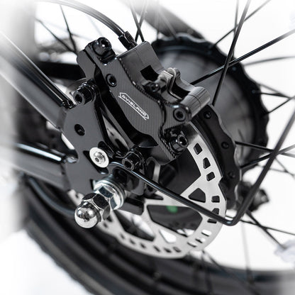 2025 NEW HappyRun G70 2000W Dual Battery Fast Electric Cargo Bike for Sale