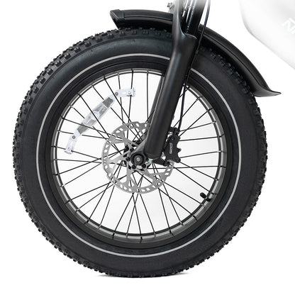 2025 NEW HappyRun G70 2000W Dual Battery Fast Electric Cargo Bike for Sale