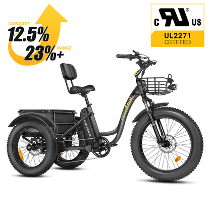 [750W] MF-30 Rear Drive Electric Trike Ver 2025