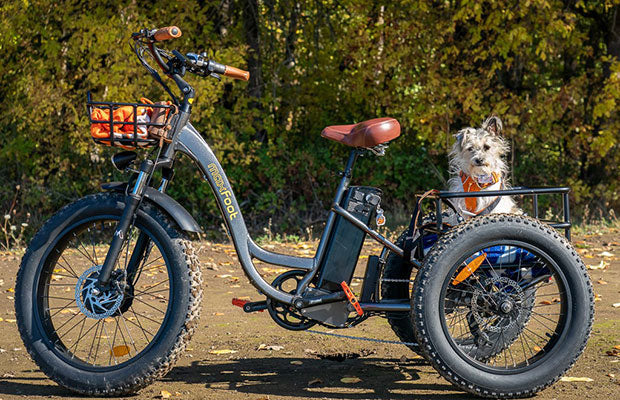 [750W] MF-30 Rear Drive Electric Trike Ver 2025