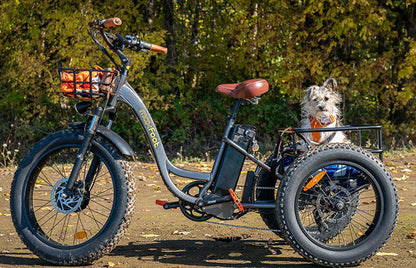 [750W] MF-30 Rear Drive Electric Trike Ver 2025