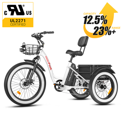 [750W] MF-30 Rear Drive Electric Trike Ver 2025