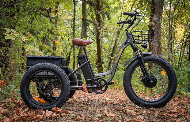 [750W] MF-30 Rear Drive Electric Trike Ver 2025