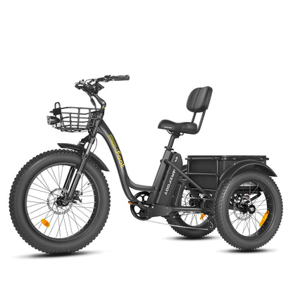 [750W] MF-30 Rear Drive Electric Trike Ver 2025