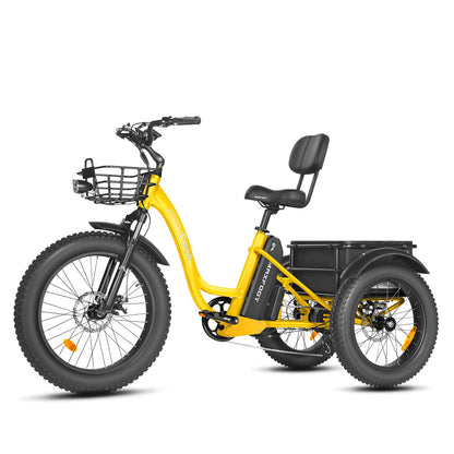 [750W] MF-30 Rear Drive Electric Trike Ver 2025
