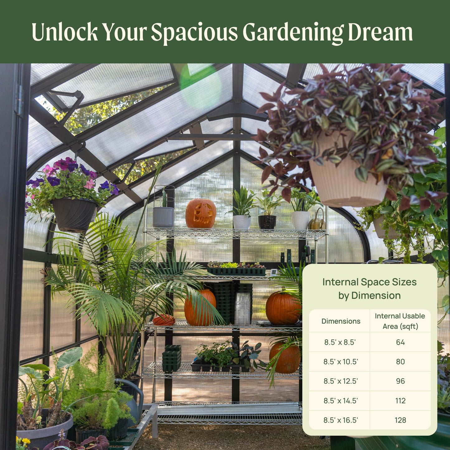 Vego Pacific Greenhouse - 8.5ft Wide