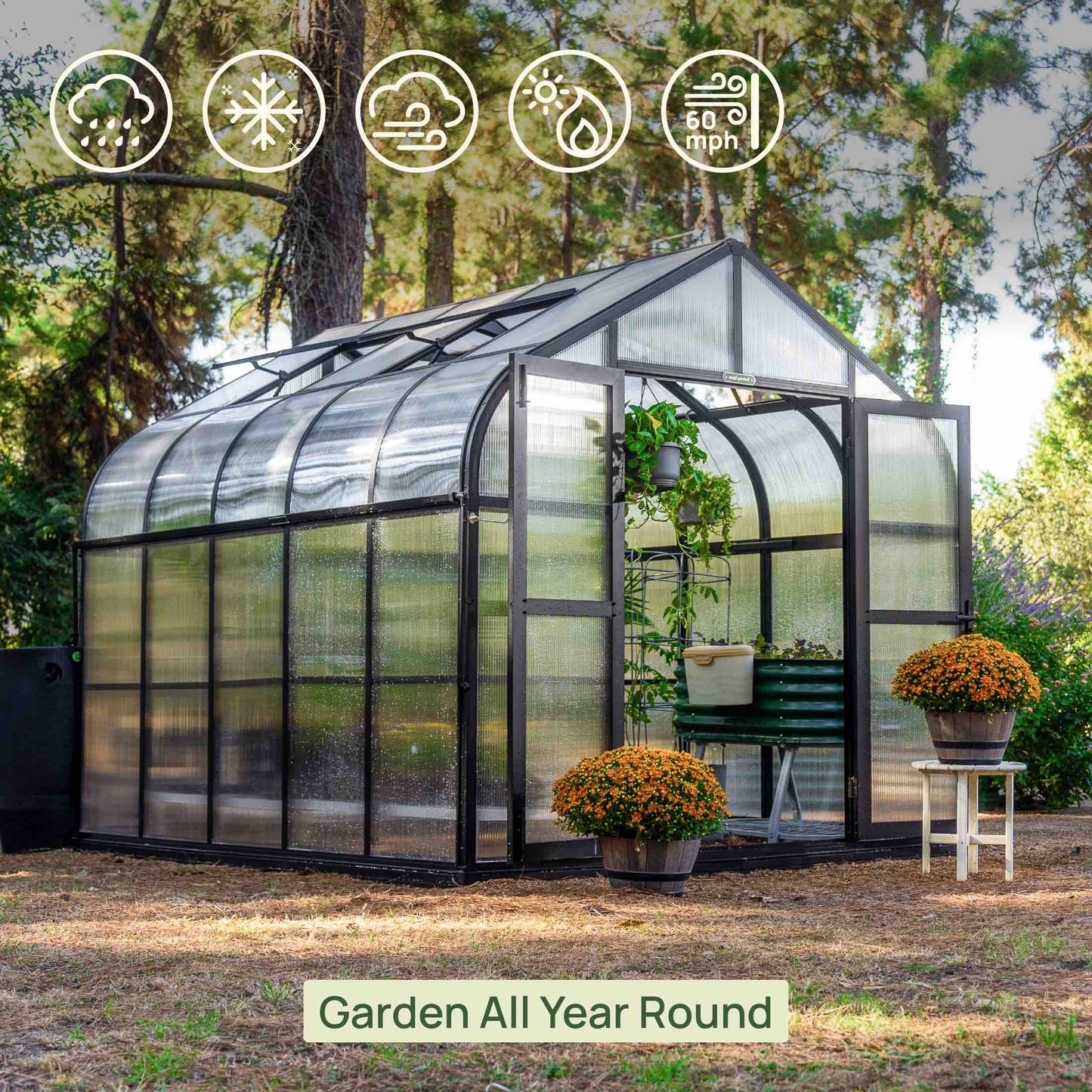 Vego Pacific Greenhouse - 8.5ft Wide