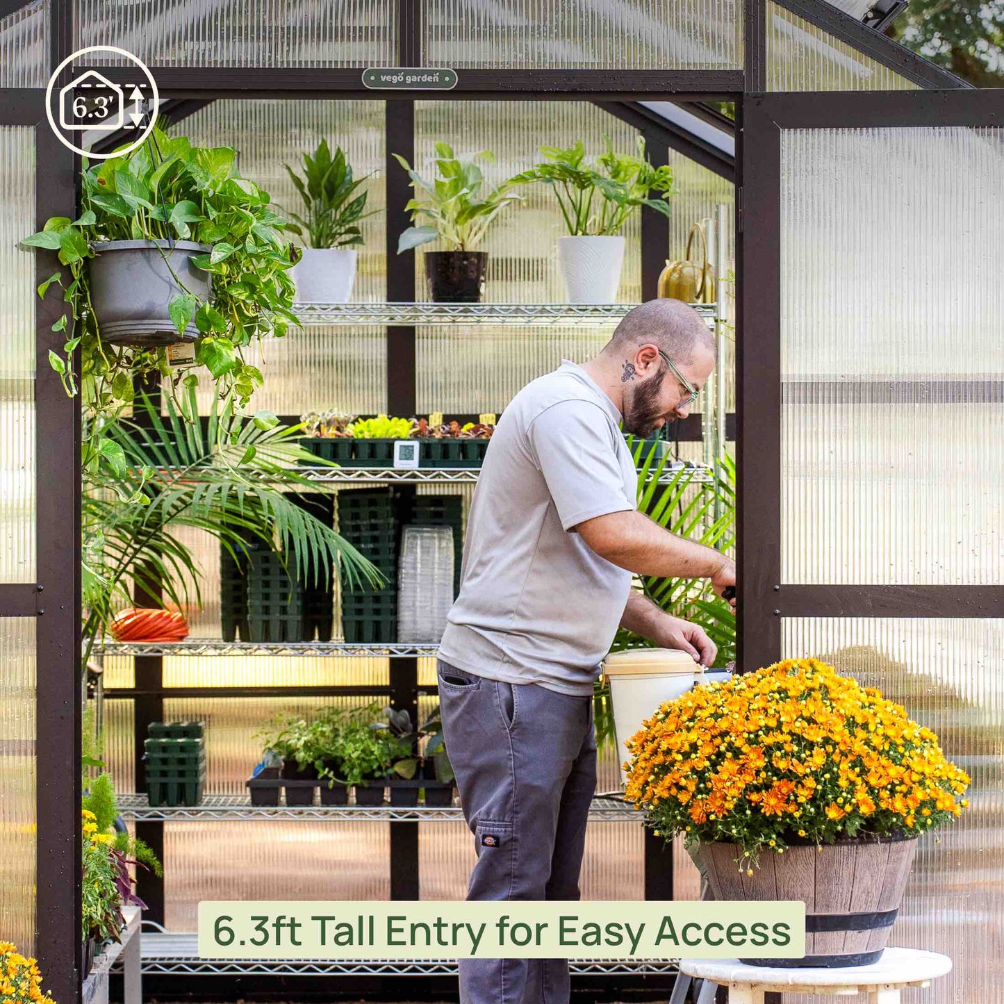 Vego Pacific Greenhouse - 8.5ft Wide